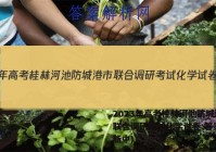 2023年高考桂林河池防城港市联合调研考试化学试卷 答案(更新中)