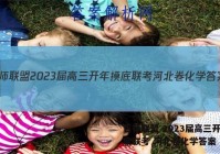 百师联盟 2023届高三开年摸底联考 河北卷化学答案