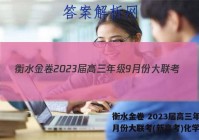 衡水金卷 2023届高三年级9月份大联考(新高考)化学答案