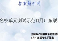 全国100所名校单元测试示范11月广东联考化学答案