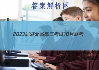 2023届湖北省高三考试10月联考(23-22C)地理试题答案