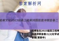 桂柳文化2023届高三桂柳鸿图信息冲刺金卷二(2)化学试卷 答案(更新中)