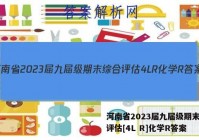 河南省2023届九届级期末综合评估[4L R]化学R答案