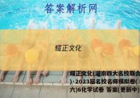 耀正文化(湖南四大名校联合编审)·2023届名校名师模拟卷(六)6化学试卷 答案(更新中)