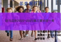 驻马店市2022~2023高三期末统一考(23-216C)化学答案