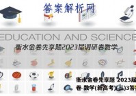 衡水金卷先享题 2023届调研卷 数学(新高考)(三)3答案