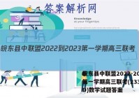 皖东县中联盟2022-2023第一学期高三联考(233312D)数学试题答案