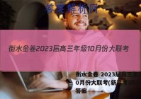 衡水金卷 2023届高三年级10月份大联考(新高考)政治试题答案