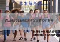 四川省2023届高三考试试题10月联考(23-65C)语文答案