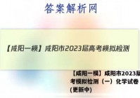 【咸阳一模】咸阳市2023届高考模拟检测（一）化学试卷 答案(更新中)