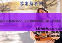名校大联考2022~2023学年度高三第一次联考(YN AH SX HLJ JL)政治试题答案