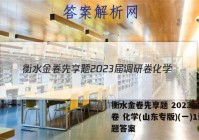 衡水金卷先享题 2023届调研卷 化学(山东专版)(一)1试题答案