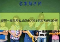[咸阳一模]陕西省咸阳市2023年高考模拟检测(一)1化学答案