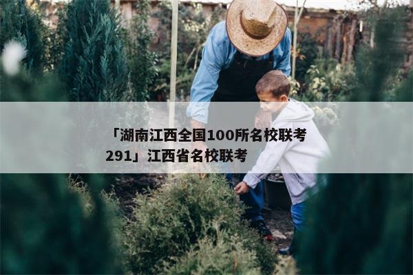 「湖南江西全国100所名校联考291」江西省名校联考