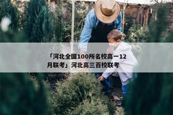 「河北全国100所名校高一12月联考」河北高三百校联考