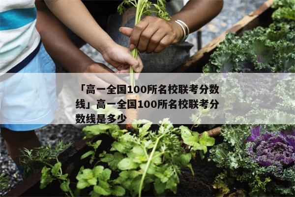 「高一全国100所名校联考分数线」高一全国100所名校联考分数线是多少