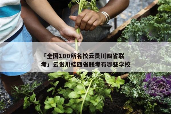 「全国100所名校云贵川四省联考」云贵川桂四省联考有哪些学校