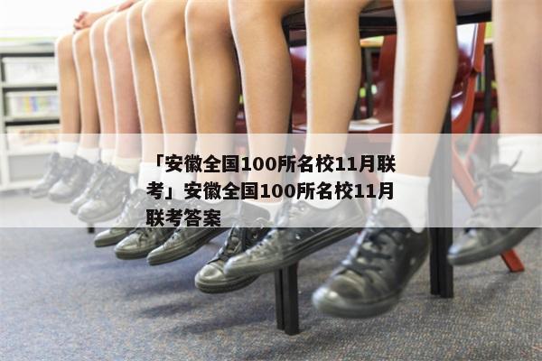 「安徽全国100所名校11月联考」安徽全国100所名校11月联考答案