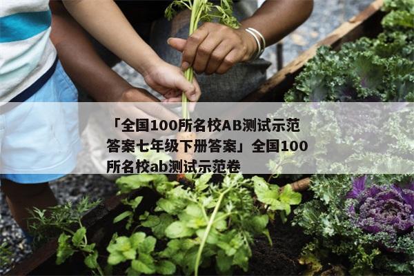 「全国100所名校AB测试示范答案七年级下册答案」全国100所名校ab测试示范卷