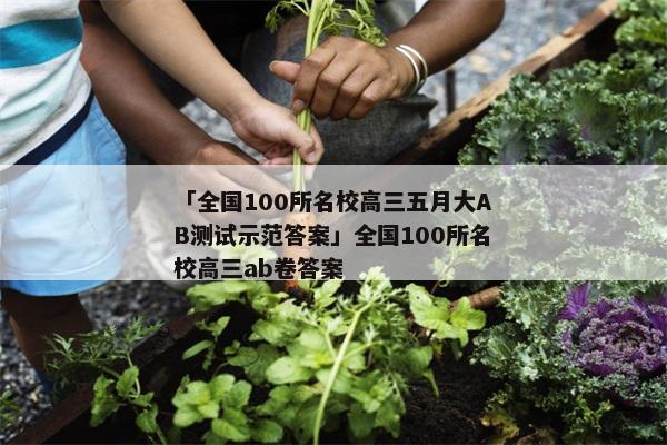 「全国100所名校高三五月大AB测试示范答案」全国100所名校高三ab卷答案