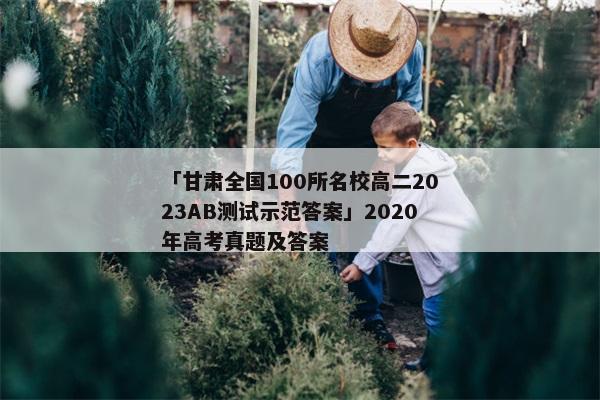 「甘肃全国100所名校高二2023AB测试示范答案」2020年高考真题及答案