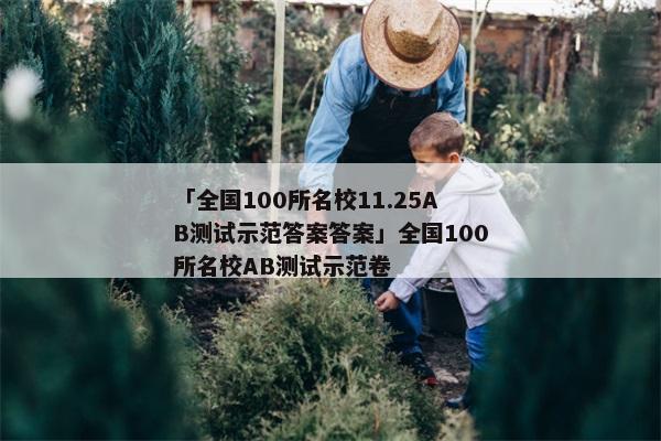 「全国100所名校11.25AB测试示范答案答案」全国100所名校AB测试示范卷